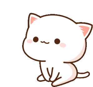귀여운 고양이